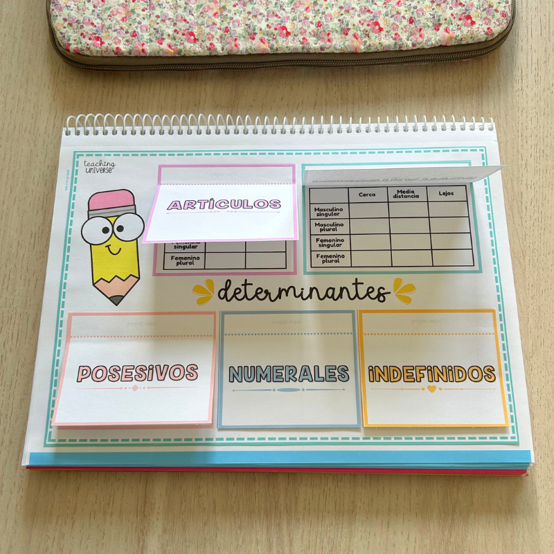 Determinantes - desplegable y esquema